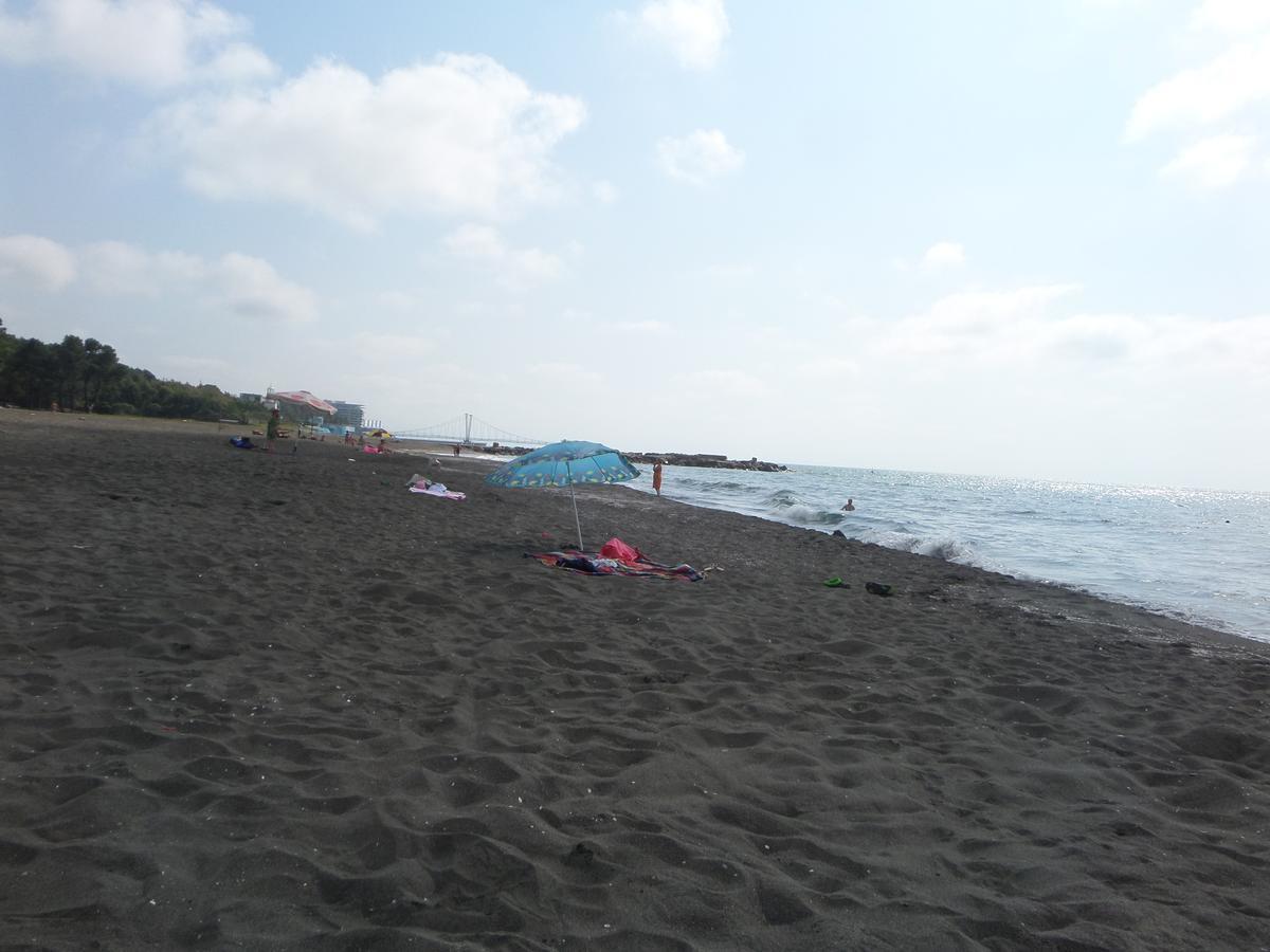 Saba Hotel Shekhvetili Bagian luar foto