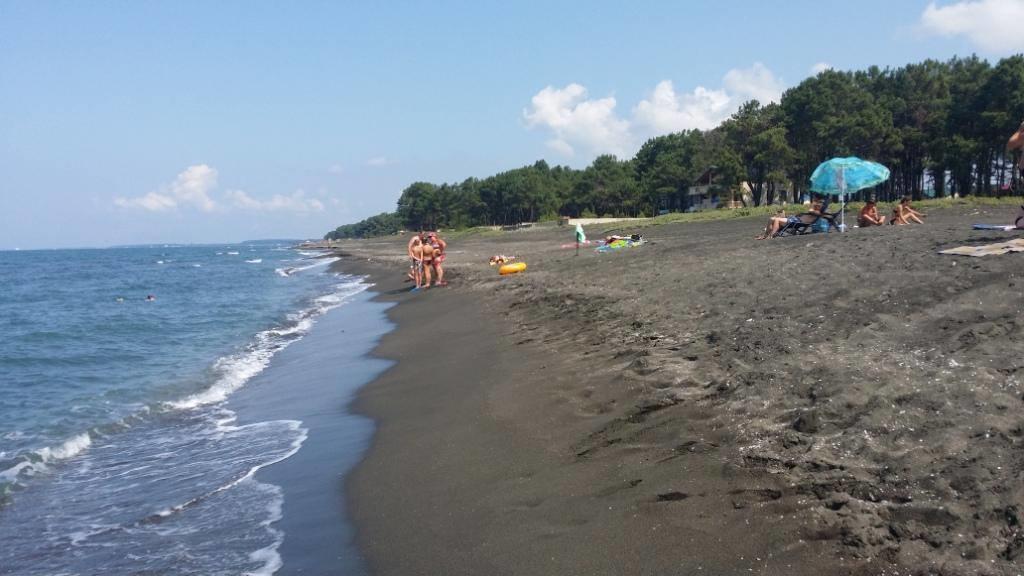 Saba Hotel Shekhvetili Bagian luar foto